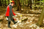 Waldarbeiter spaltet Stammstück mit Keil und Hammer