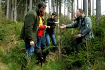 Vier Personen diskutieren und vermessen im Wald kleine Fichten (T. Bosch)